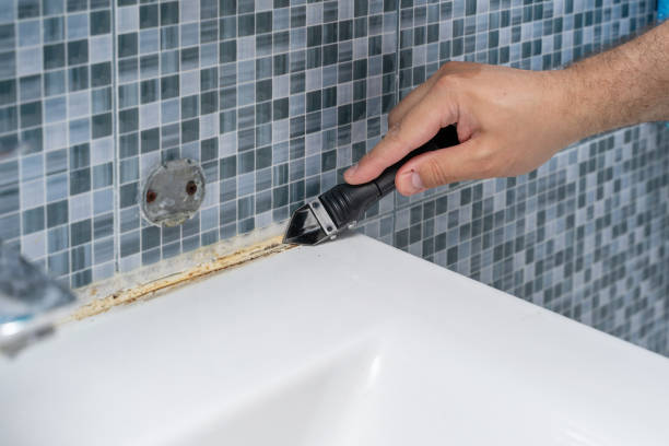 Best Commercial Mold Removal  in Wauwatosa, WI